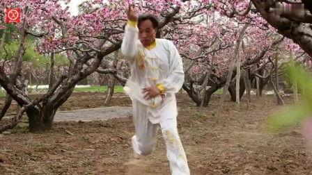 武术基本功教学视频,从基础到精通的修炼之路